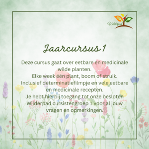 Cursusjaar 1
