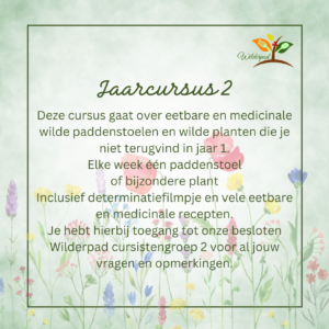 Cursusjaar 2