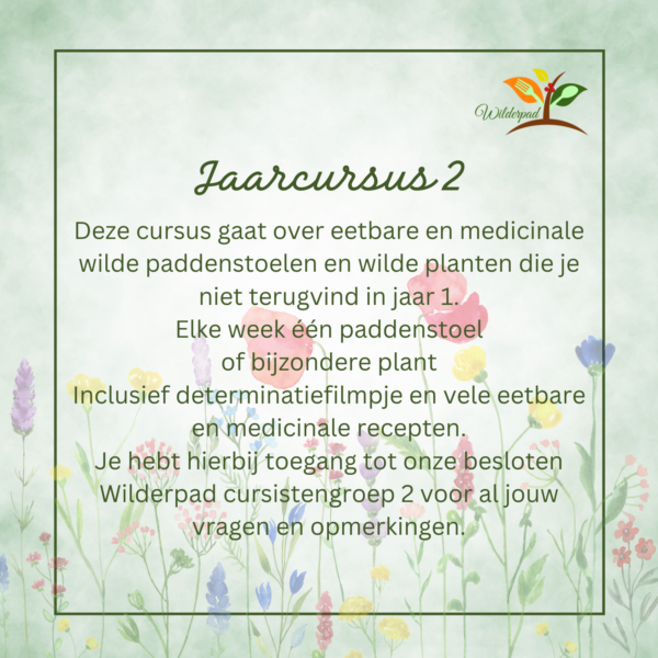 Cursusjaar 2