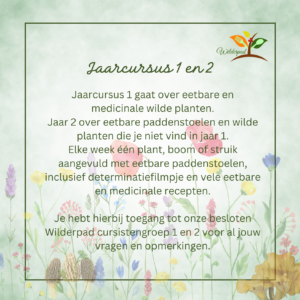 Cursusjaar 1 en 2