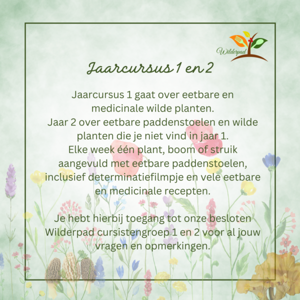 Cursusjaar 1 en 2