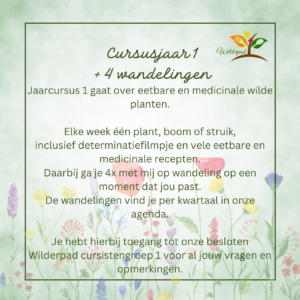Pakket jaarcursus 1 + vier wandelingen