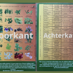 Wildplukkaart/Lente (NL)