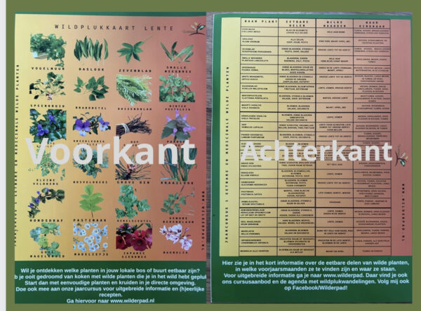 Wildplukkaart/Lente (NL)