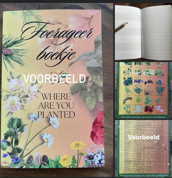 2 Foerageerboekjes en 2 Wildplukkaarten/Lente