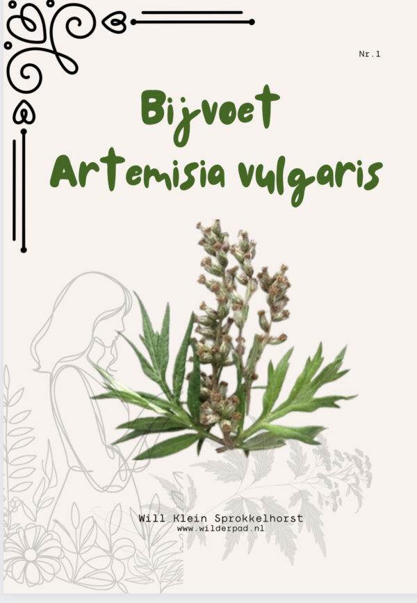 Boekje Bijvoet (NL)