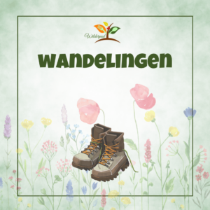 Wandelingen