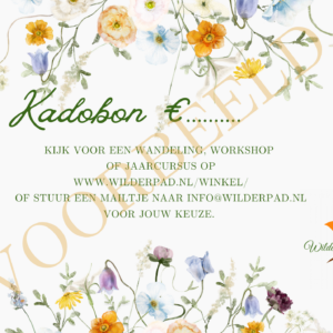 Kadobon 50 euro