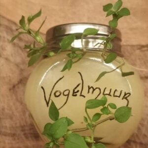 Workshop Outdoor EHBO 2 – Zalven & tincturen maken: vrijdag 16 januari 2026, 10.00 tot 15.00 uur, Amersfoort