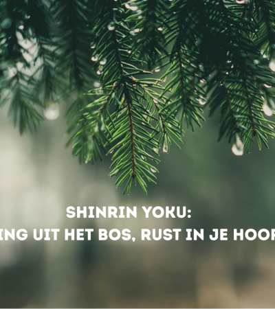 Heling uit het bos